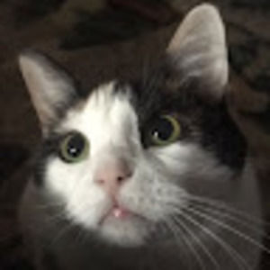 Meet your Posher, Ali